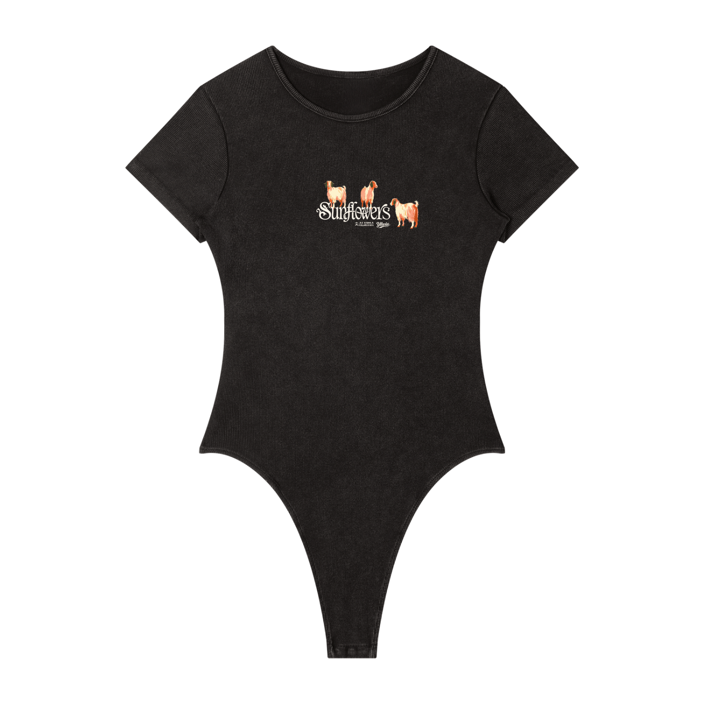 ALUMA | MODULO ANATOMICO SIGILLATO 275G