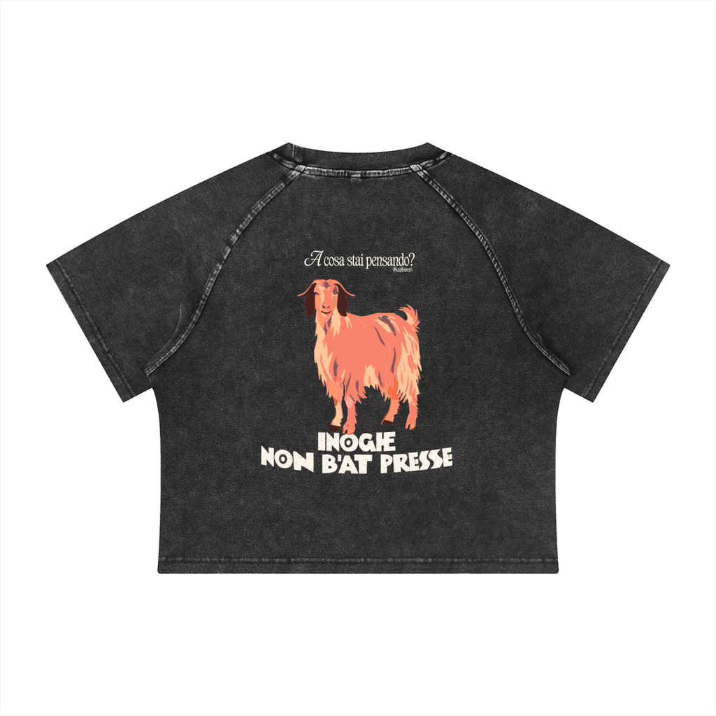 ALUMA | MODULO CROP RAGLAN MINERALE 315G