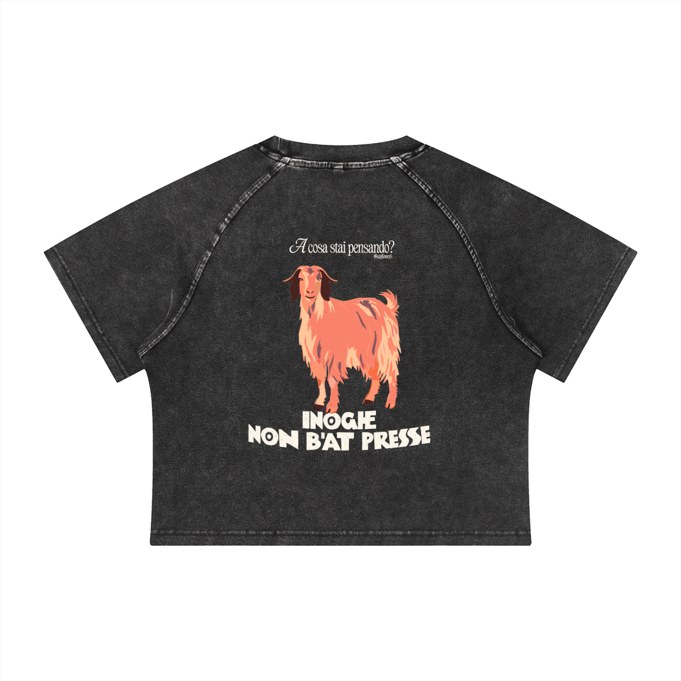 ALUMA | MODULO CROP RAGLAN MINERALE 315G
