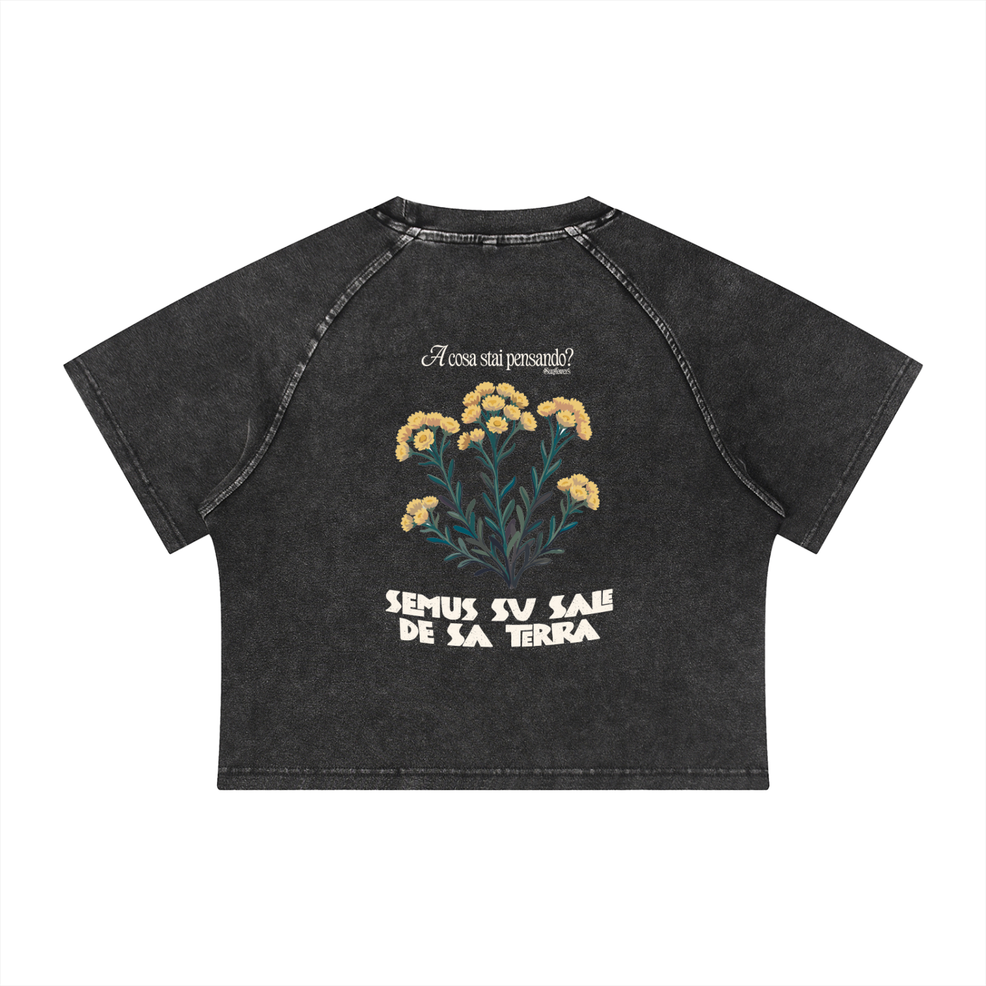 ALUMA | MODULO CROP RAGLAN MINERALE 315G