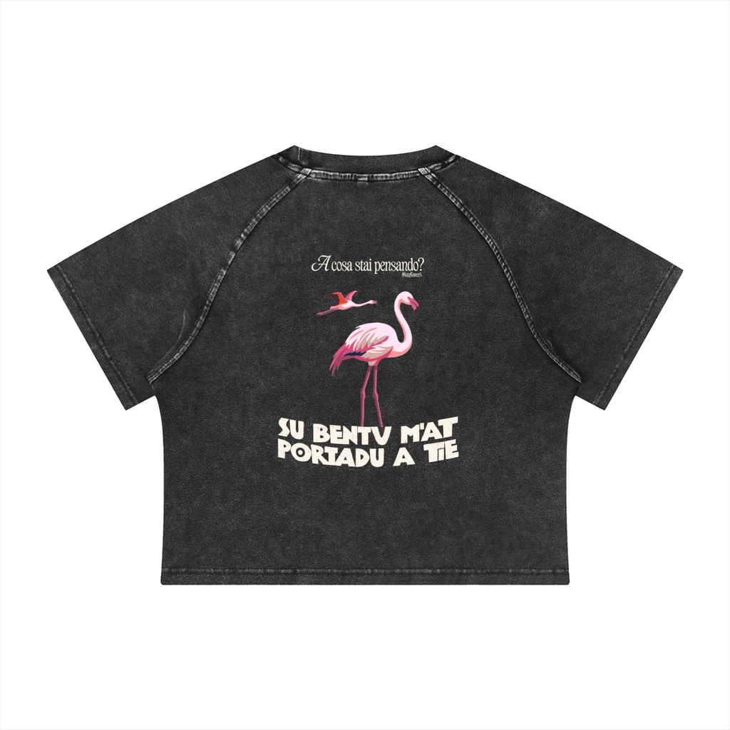ALUMA | MODULO CROP RAGLAN MINERALE 315G