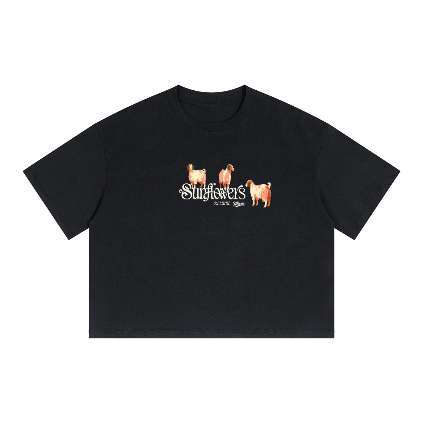 ALUMA | MODULO BOXY CROP PURO COTONE 250G
